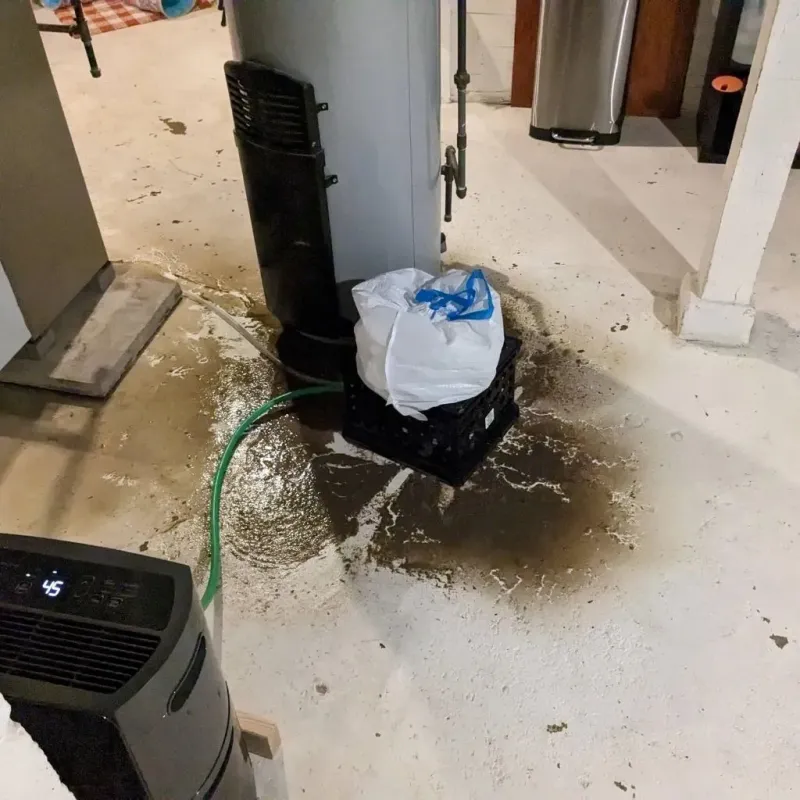 Sewage Backup Cleanup Service in Lenox, IA